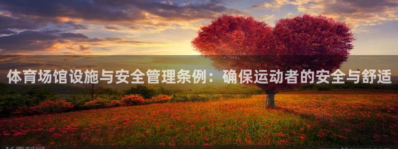 必一体育网页登陆：体