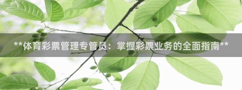 必一体育黑平台：**