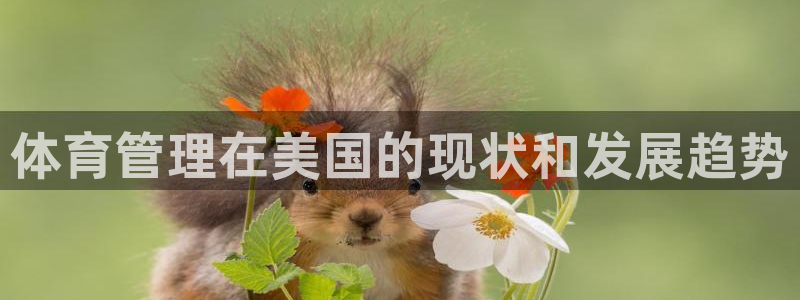 必一体育秀给网