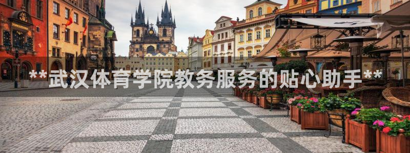 必一体育官网app