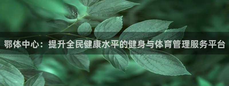 必十二和必一的副作用