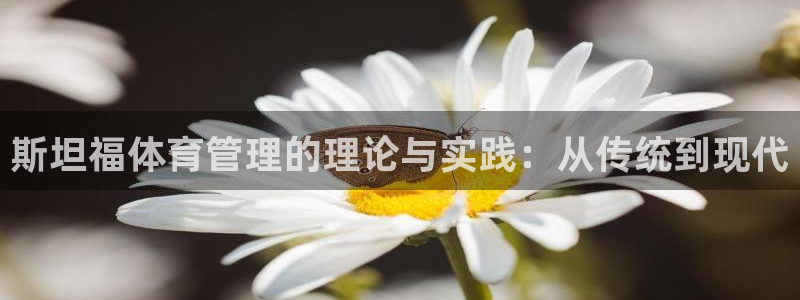 必一体育黑平台：斯坦福体育管理的理论与实践：从传统到现代
