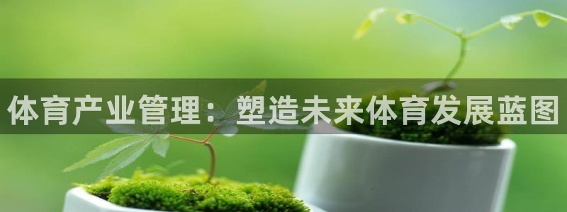 必一体育登录入口APP：体育产业管理：塑造未来体育发展蓝图
