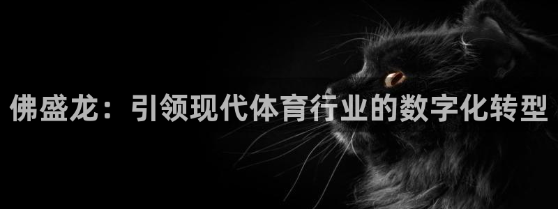 必一体育官网ios下载：佛盛龙：引领现代体育行业的数字化转型