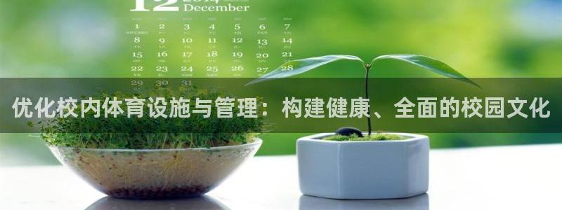 氵必一一厂一：优化校