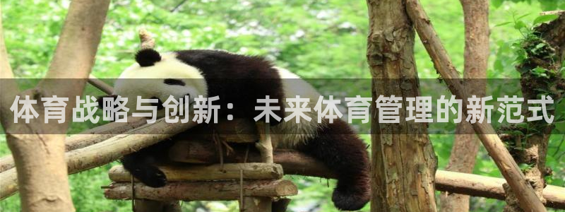 必一体育可靠吗：体育