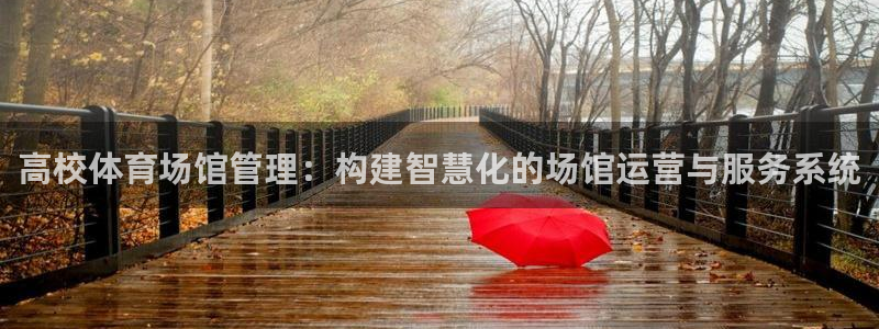 必一体育app平台下