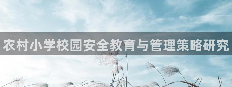 必一体育sport装