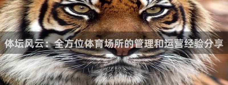 必一体育APP下载安装：体坛风云：全方位体育场所的管理和运营