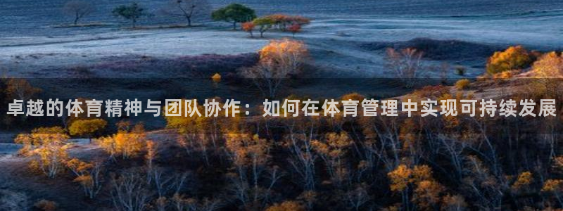 必一体育网站：卓越的