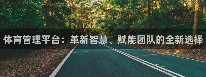 必一体育网页：体育管理平台：革新智慧、赋能团队的全新选择