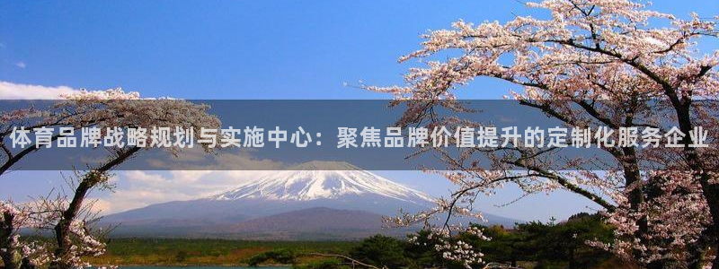 必一运动·体育：体育品牌战略规划与实施中心：聚焦品牌价值提升