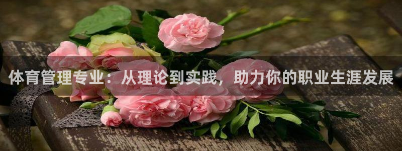 必一体育黑平台：体育管理专业：从理论到实践，助力你的职业生涯